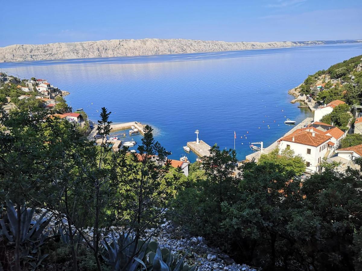 Apartment Biondic Starigrad (Kvarner)