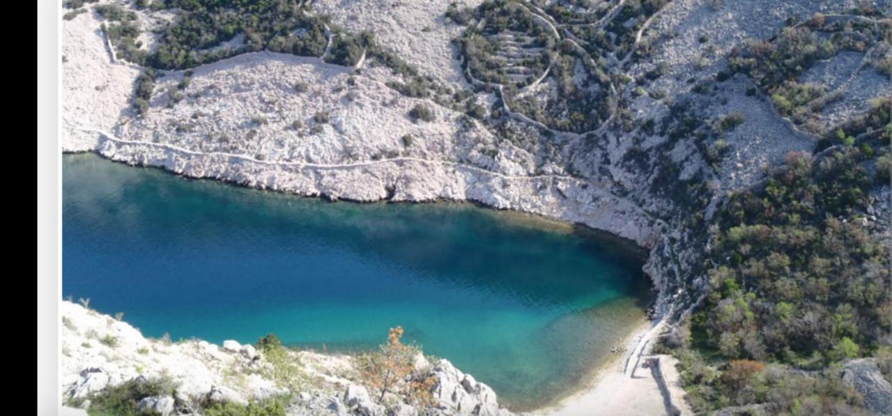 Biondic Starigrad (Kvarner)