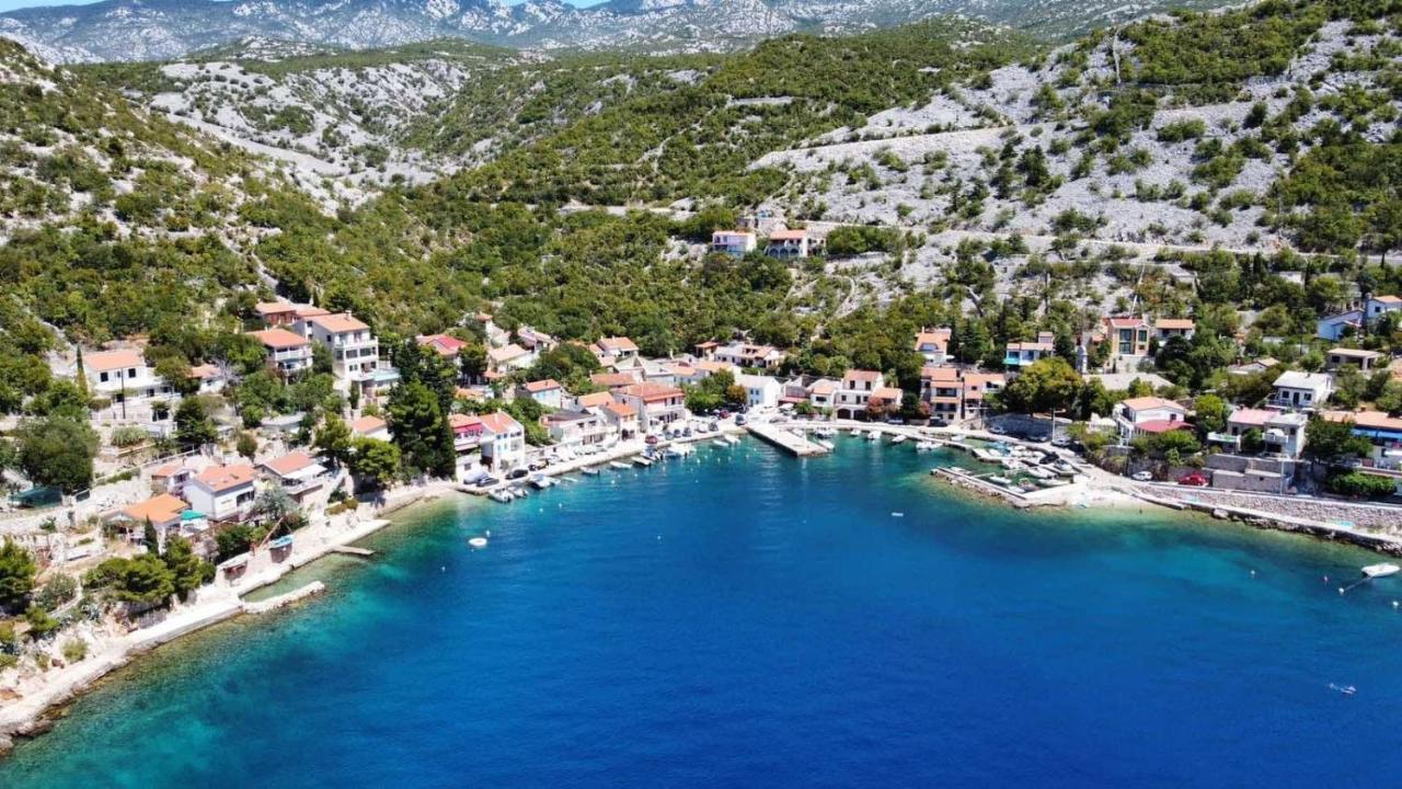 Apartament Biondic