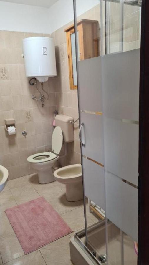 Apartament Biondic